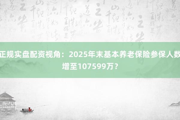 正规实盘配资视角：2025年末基本养老保险参保人数增至107599万？