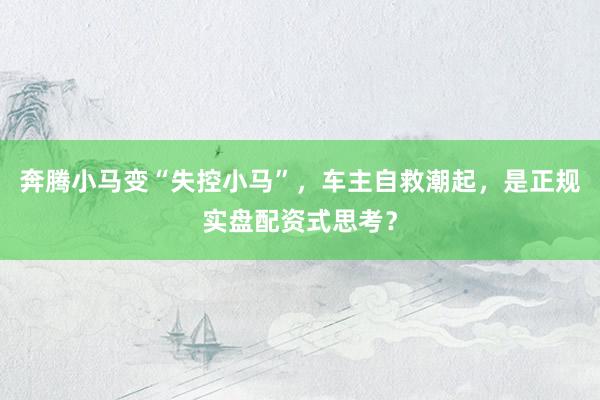 奔腾小马变“失控小马”，车主自救潮起，是正规实盘配资式思考？