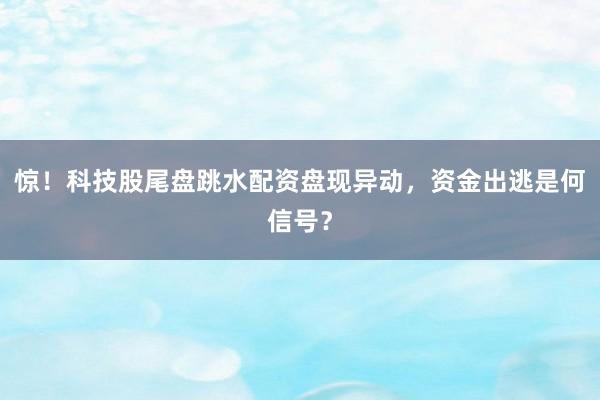 惊!科技股尾盘跳水配资盘现异动,资金出逃是何信号?
