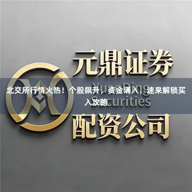 北交所行情火热！个股飙升，资金涌入，速来解锁买入攻略